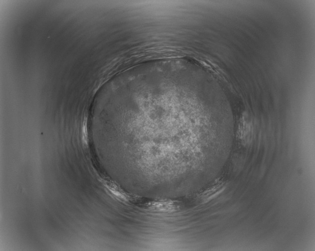 X0000057100524200509091207