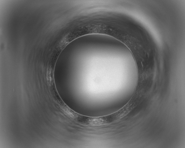 X0000057100525200509091207