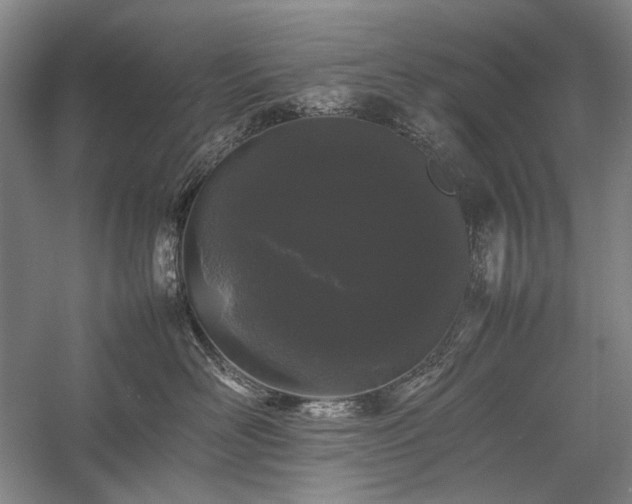 X0000057100526200509091207