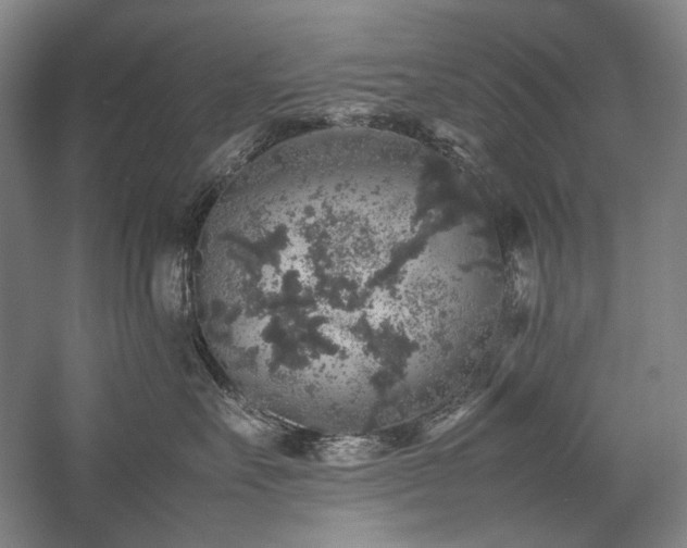 X0000057100527200509091207