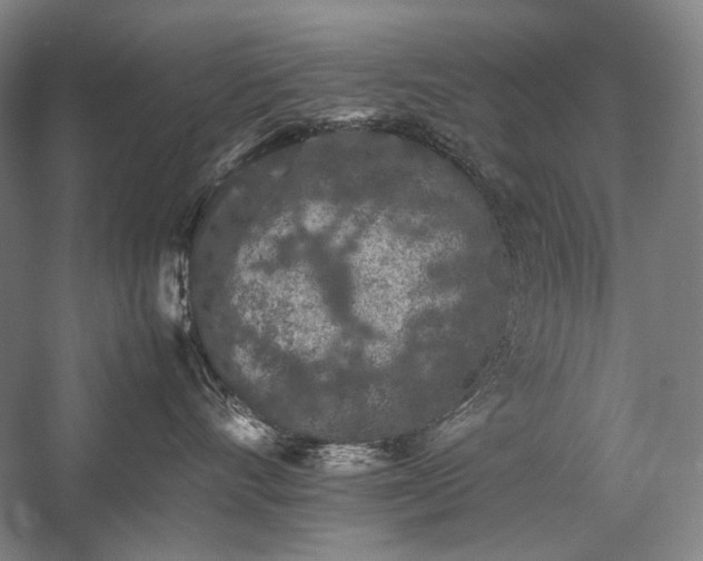 X0000057100528200509091207