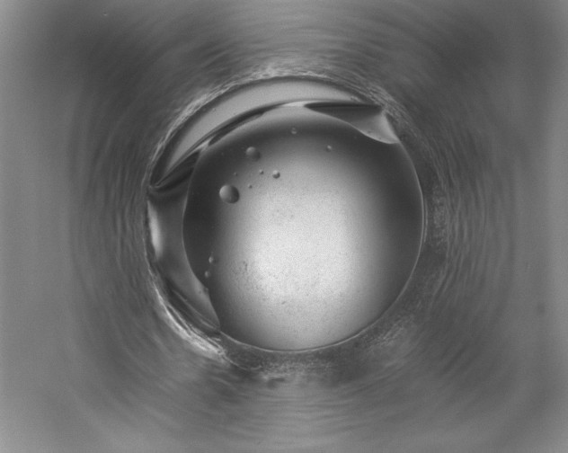 X0000057100530200509091206