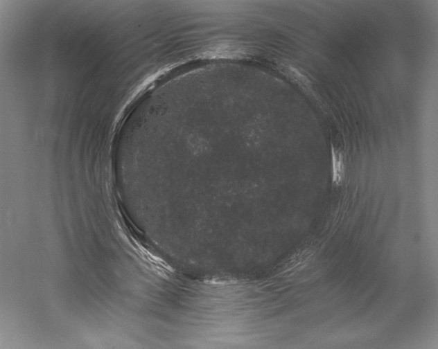 X0000057100531200509091206