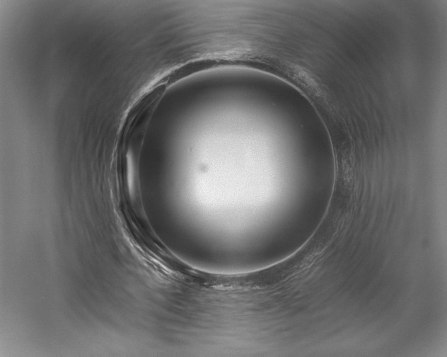 X0000057100532200509091206