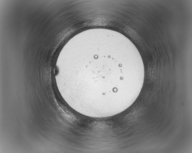 X0000057100534200509091206