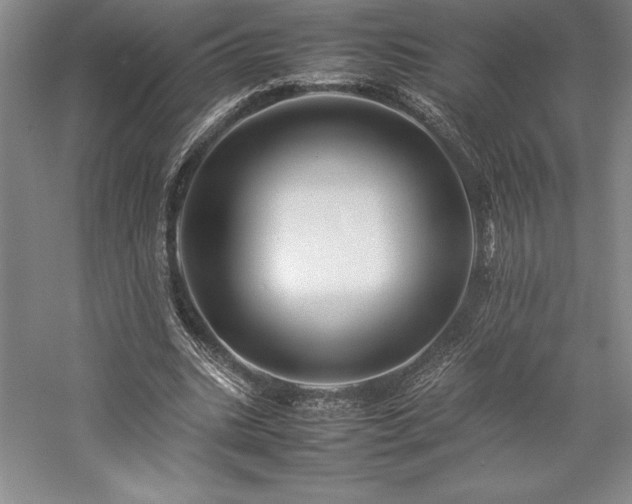 X0000057100535200509091206