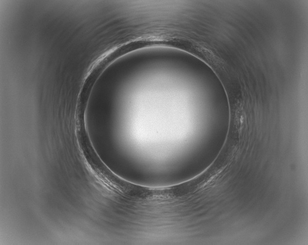 X0000057100536200509091206