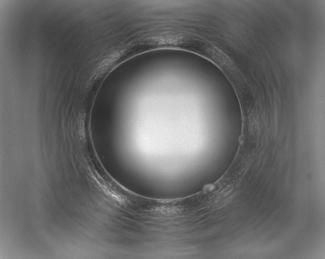 X0000057100537200509091206