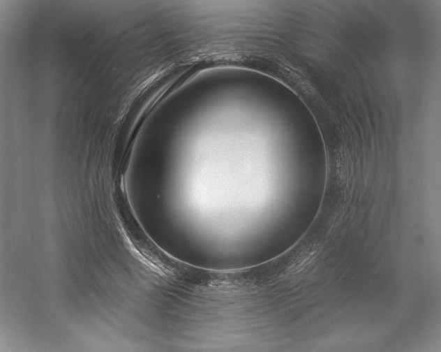 X0000057100538200509091206