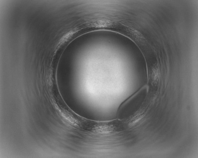 X0000057100540200509091206