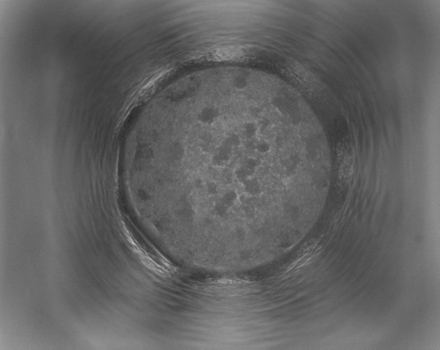 X0000057100542200509091206