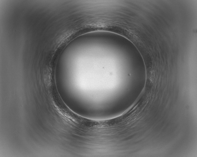 X0000057100544200509091206