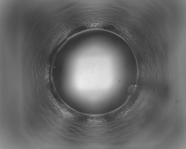 X0000057100545200509091206