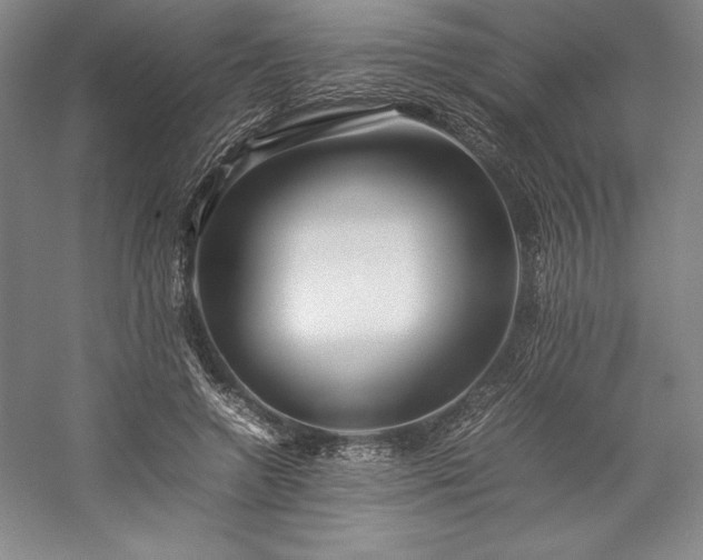 X0000057100546200509091206