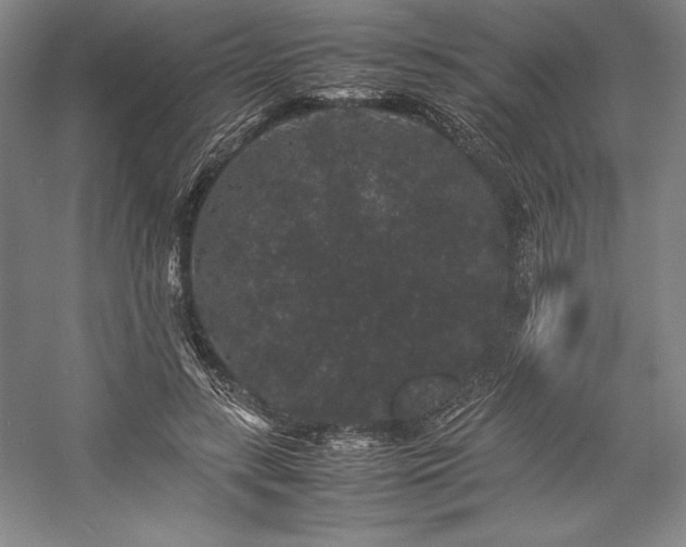 X0000057100547200509091206