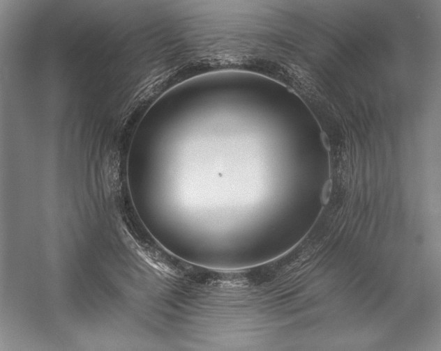 X0000057100548200509091206