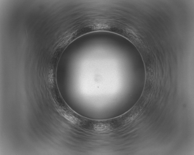 X0000057100549200509091206