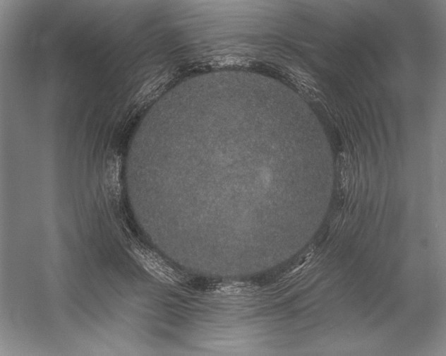 X0000057100550200509091206