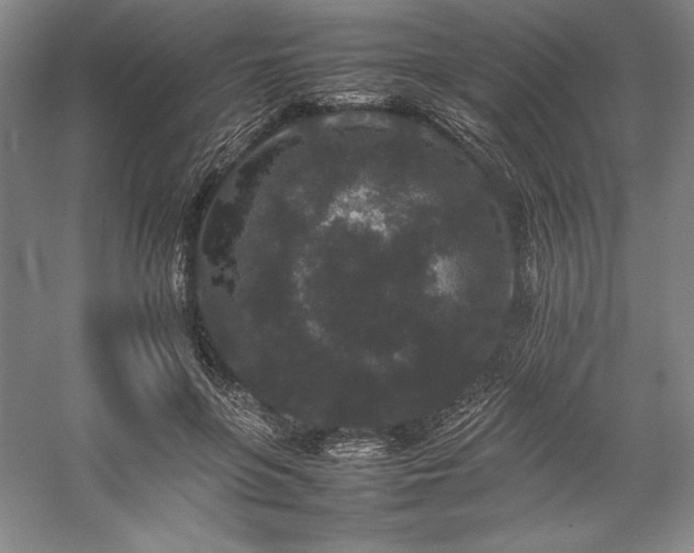 X0000057100551200509091206