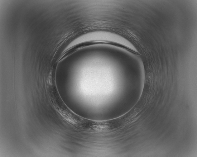 X0000057100552200509091206