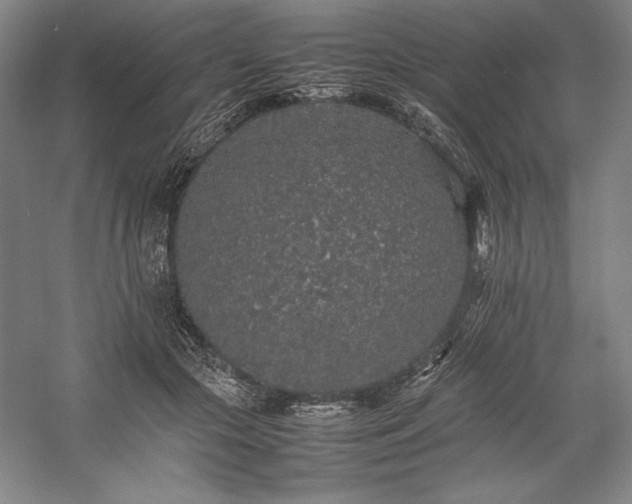 X0000057100553200509091206