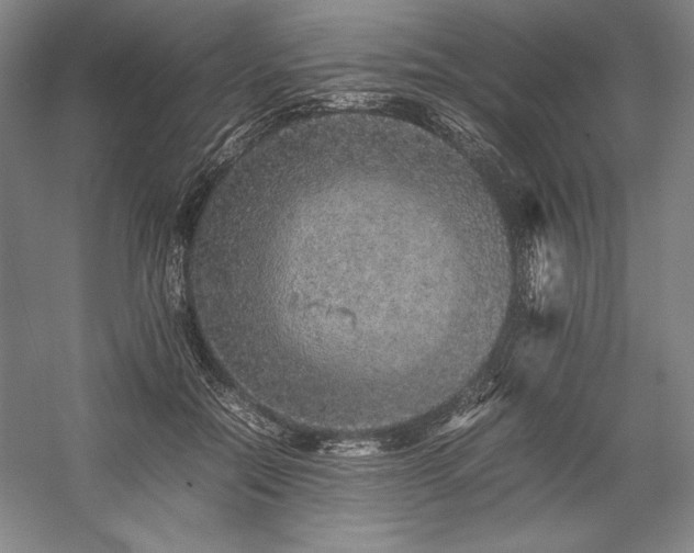 X0000057100554200509091206