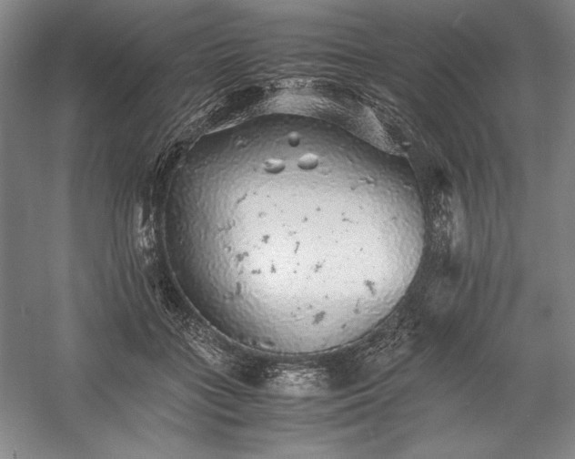 X0000057100555200509091206