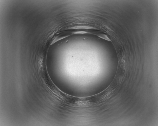 X0000057100556200509091206