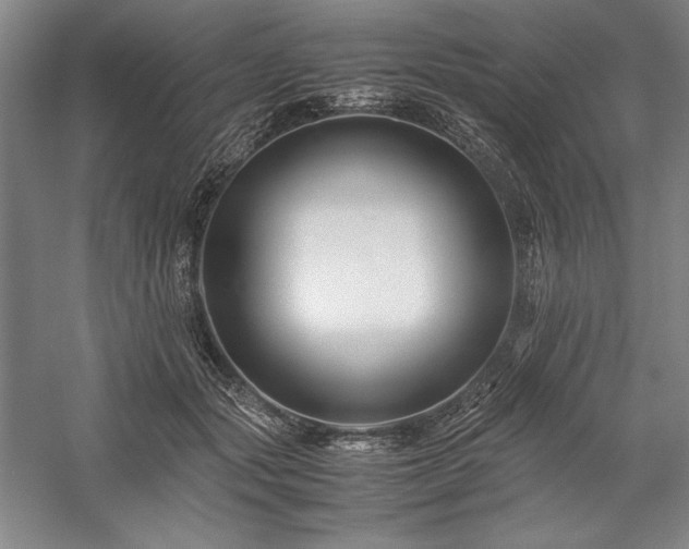 X0000057100557200509091206