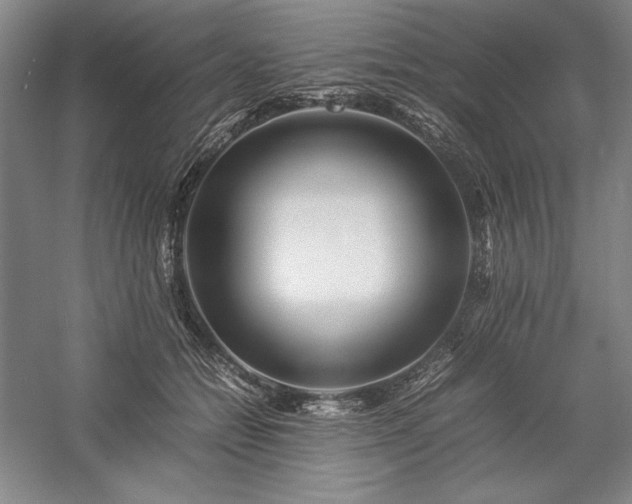 X0000057100558200509091206