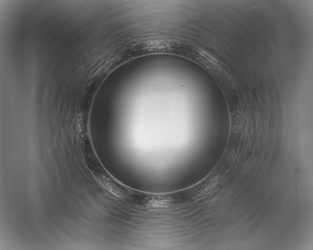 X0000057100560200509091206