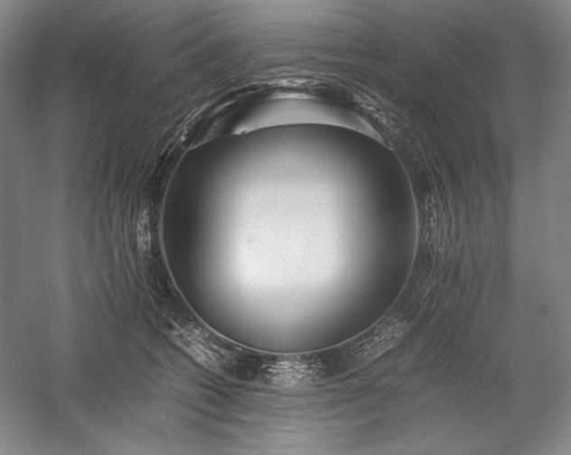 X0000057100562200509091206