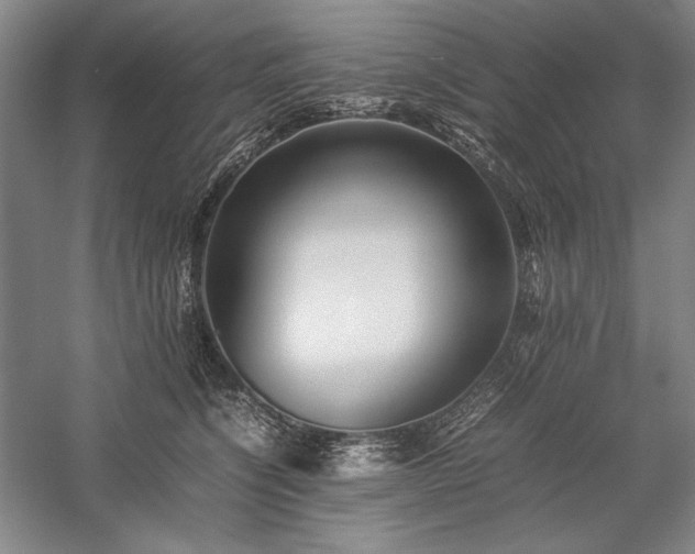 X0000057100564200509091206