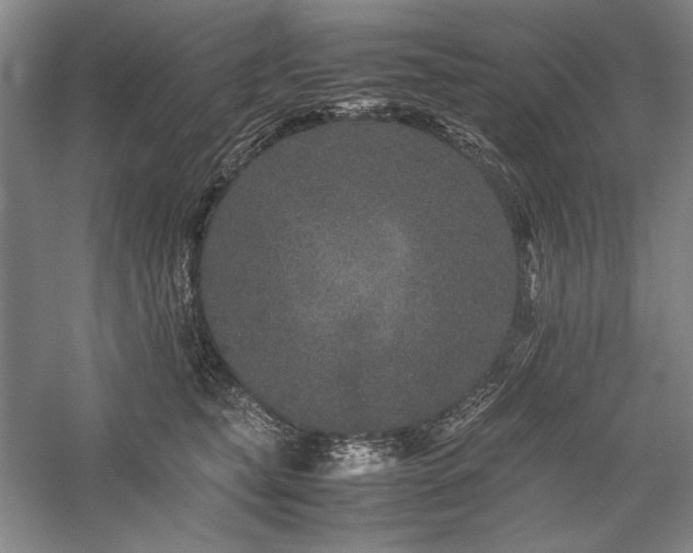 X0000057100565200509091206