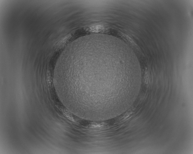 X0000057100569200509091206