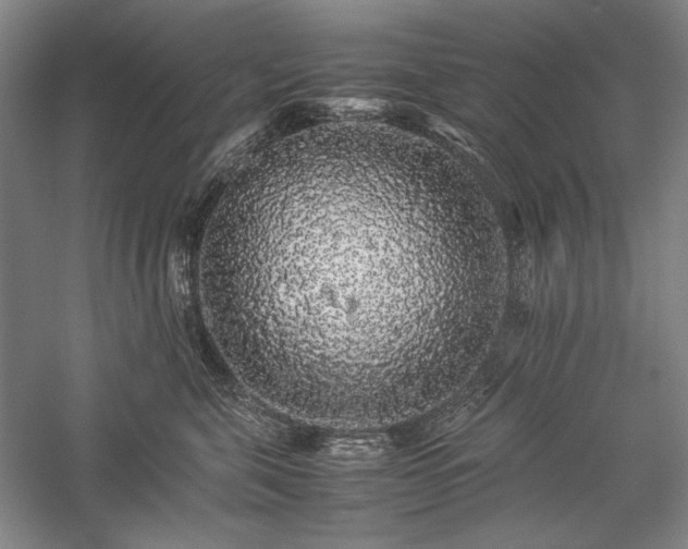 X0000057100571200509091207