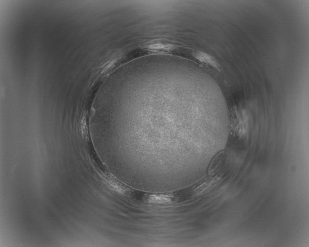 X0000057100573200509091207