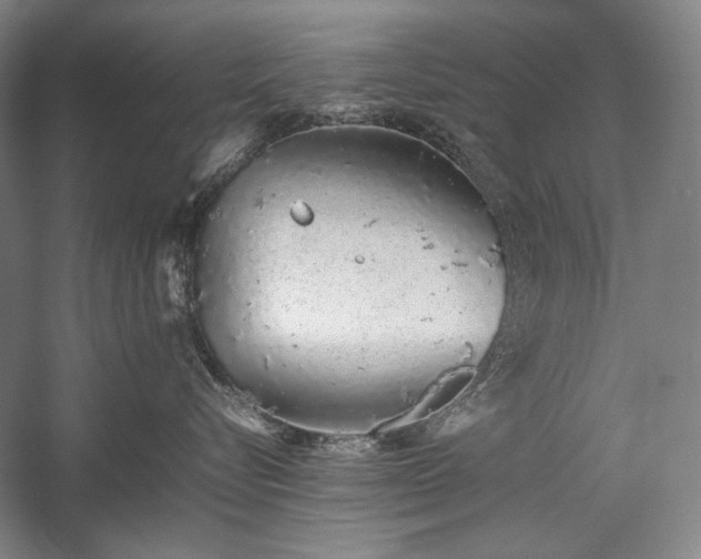 X0000057100576200509091207