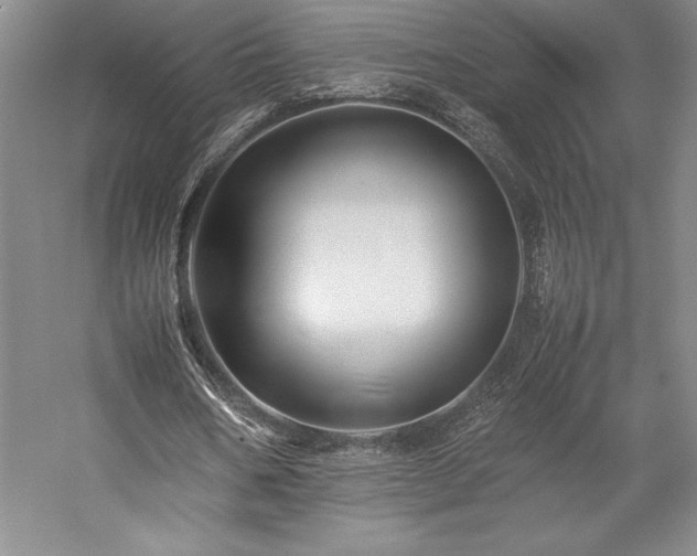 X0000057100578200509091206