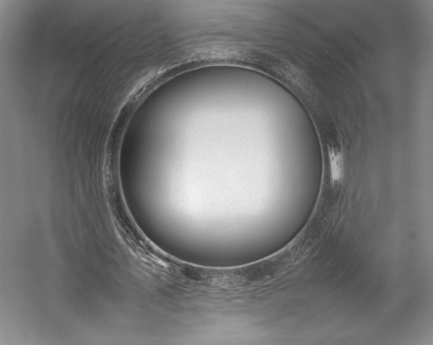 X0000057100579200509091206