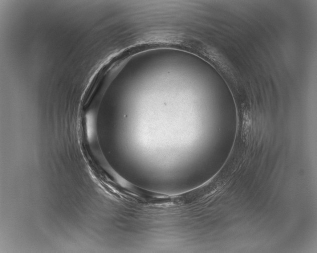 X0000057100580200509091206