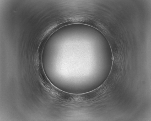 X0000057100583200509091206