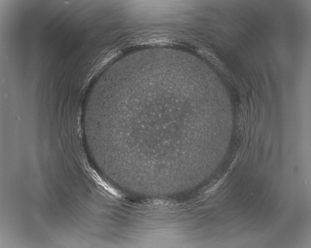 X0000057100585200509091206