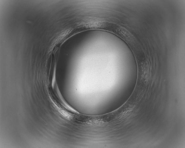 X0000057100586200509091206