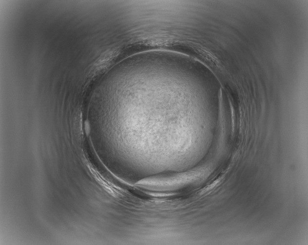 X0000057100589200509091206