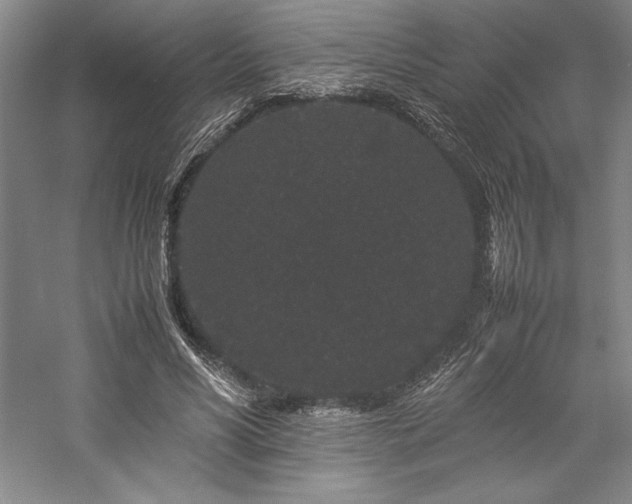 X0000057100590200509091206