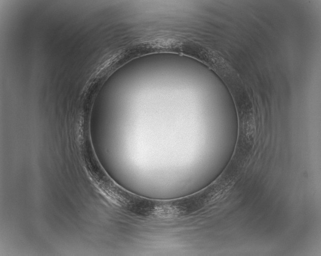 X0000057100591200509091206