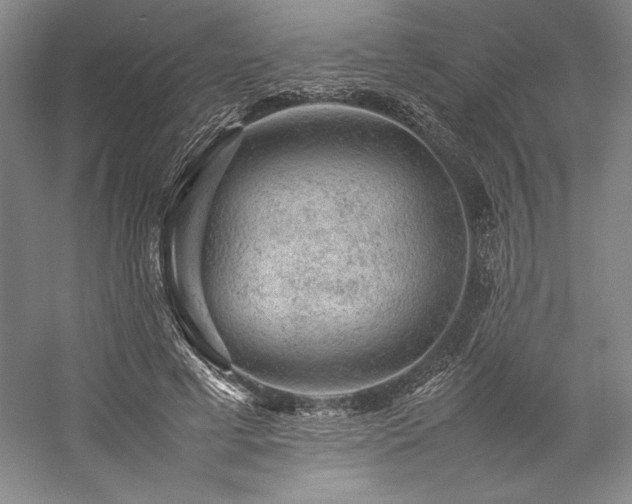 X0000057100593200509091206