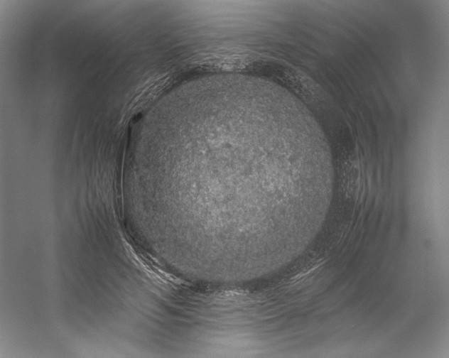 X0000057100594200509091206