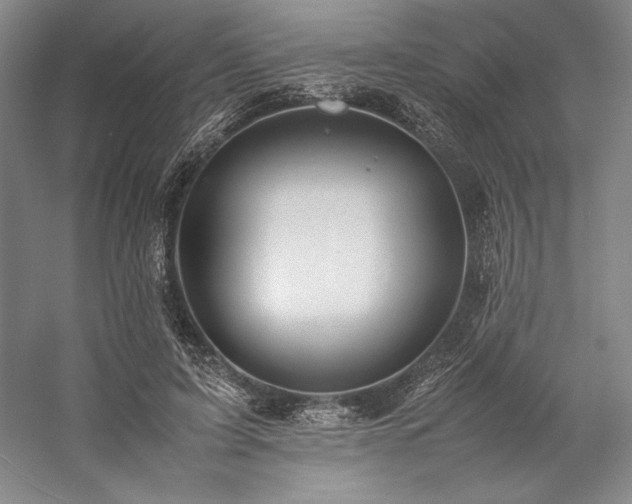 X0000057100595200509091206